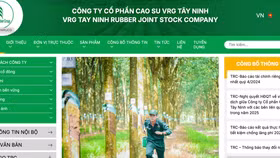 Lợi nhuận năm 2024 của Cao su Tây Ninh bật tăng ngoạn mục gần 230%