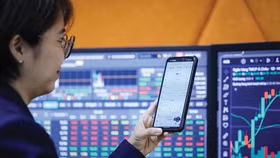 Lãi suất cho vay margin tháng 11/2025 cao nhất là bao nhiêu?