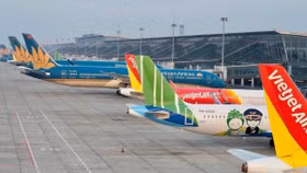 Bức tranh toàn cảnh ngành hàng không: Cuộc chiến thị phần và những con số biết nói