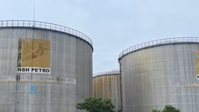 Cổ phiếu lao dốc nhưng lãnh đạo PSH giải trình tăng trần 5 phiên