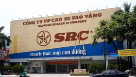 Cao su Sao Vàng đặt mục tiêu doanh thu 2.000 tỷ đồng trong năm 2025 