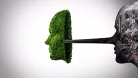 Anh cấm quảng cáo của Nike, Lacoste và Superdry vì cố tình "tẩy xanh"