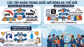 Mua lại các thương hiệu nước ngoài đã có tên tuổi là con đường nhanh hơn và hiệu quả hơn so với việc xây dựng từ đầu