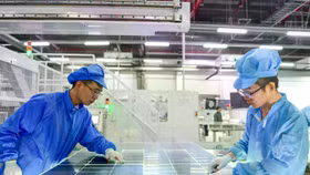 Các công nhân đang làm việc trên dây chuyền sản xuất tấm pin mặt trời hiệu suất cao tại một xưởng của công ty DAS Solar Co., Ltd. 
