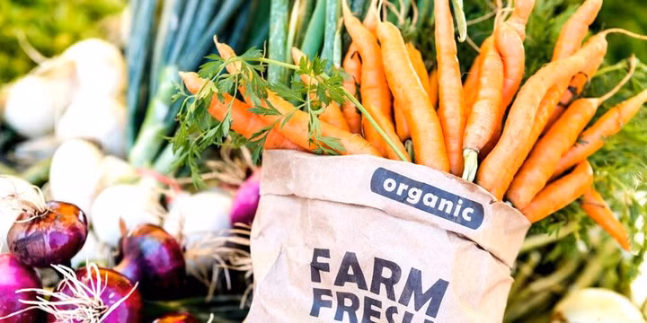 Lợi ích của thực phẩm hữu cơ trong việc giảm thiểu khả năng mắc bệnh ung thư