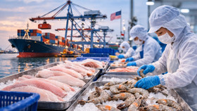 Thuế nhập khẩu Mỹ 10%: “Khoảng thở” ngắn hạn cho thủy sản Việt Nam