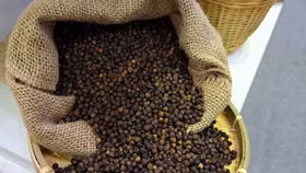 Giá nông sản hôm nay (25/4): Giá "vàng đen" trong nước tăng cao, lên gần 2.000 đồng/kg