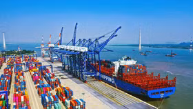 Doanh nghiệp Việt xoay trục tìm thị trường mới, ứng phó với rủi ro thuế quan