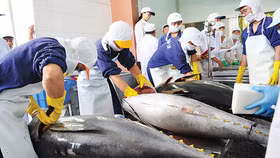 Mỹ xem xét thuế suất 0% với Việt Nam, thêm một ứng viên sáng giá được hưởng ưu đãi