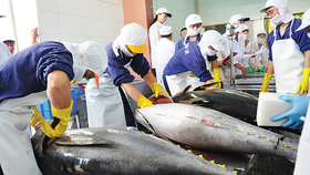 Mỹ xem xét thuế suất 0% với Việt Nam, thêm một ứng viên sáng giá được hưởng ưu đãi