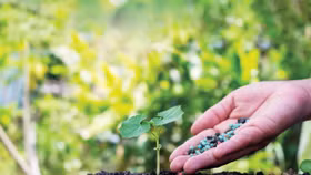 Xanh hoá ngành hóa chất – phân bón là yêu cầu bắt buộc