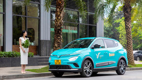 Người giàu nhất Việt Nam tăng vốn “ngỗng vàng” lên 25.000 tỷ đồng, ồ ạt phủ sóng Đông Nam Á, lấn sang cả lĩnh vực giao đồ ăn