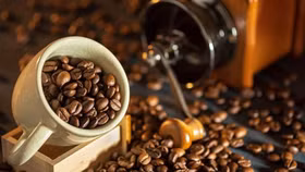 Xuất khẩu cà phê Việt năm 2025 dự báo cán mốc kỷ lục 8 tỷ USD