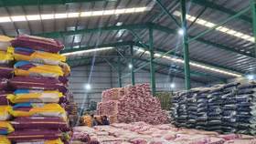 Áp thuế VAT lên phân bón sẽ làm khó người nông dân