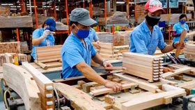 Doanh nghiệp gỗ còn nhiều dư địa phát triển tại thị trường nội địa quy mô 10 tỷ USD