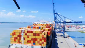 Xuất khẩu Việt Nam 2025 sắp cán đích: Nhiều mặt hàng chạm mốc 10 tỷ USD