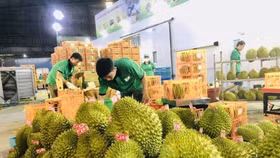 Xuất khẩu rau quả năm 2024 được dự báo tăng trưởng mạnh