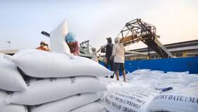 Philippines “chốt cửa” nhập khẩu đến cuối 2025, sóng ngầm mới với gạo Việt