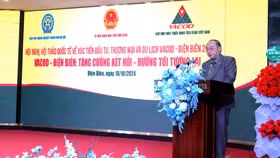 TS. Nguyễn Hồng Sơn, Chủ tịch Hiệp hội Phát triển Hàng tiêu dùng Việt Nam – VACOD