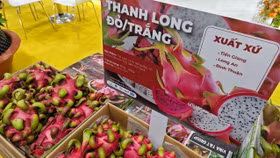 Loạt quy định SPS mới từ các thị trường lớn gia tăng áp lực lên nông sản Việt