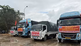 Một trong những đoàn xe thiện nguyện về vùng lũ của Chín Nghĩa