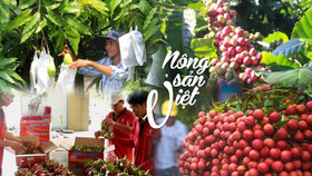 Bộ Công Thương sắp ra mắt Bản đồ Nông sản Việt