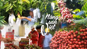 Bộ Công Thương sắp ra mắt Bản đồ Nông sản Việt