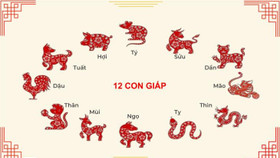 Tử vi vui 12 con giáp ngày 7/3: Vận xui đi, may mắn đến, sự nghiệp của 4 con giáp sẽ lên tầm cao mới