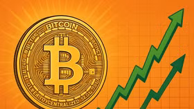 Bitcoin đạt kỷ lục mới, giá trị các ví lạnh Bitcoin tăng mạnh