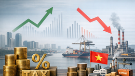 FDI tại Việt Nam: Rằng oai thì thật là oai