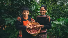 Giá nông sản hôm nay (14/6): Cà phê trong nước tăng giá trở lại, cao nhất ở mức 113.000 đồng/kg