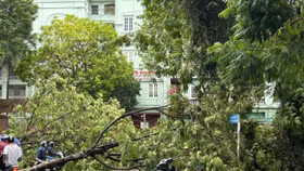 Bão số 3 đổ bộ gây thiệt hại về người và tài sản cho nhiều tỉnh phía Bắc