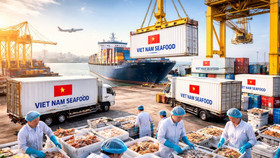 Kỷ lục 11 tỷ USD và “bài toán” chính sách đối với xuất khẩu thủy sản năm 2026