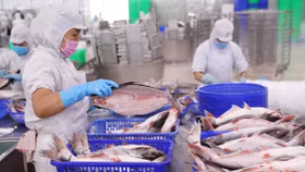 Mỹ siết kiểm soát thủy sản nhập khẩu: Tăng áp lực lên doanh nghiệp Việt