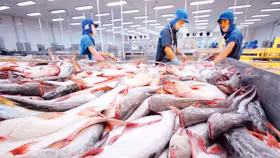 Thủy sản Việt Nam sang Nhật Bản đạt gần 1,5 tỷ USD giữa bối cảnh thị trường "co mình"