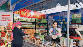 Sản phẩm OCOP và nông sản địa phương rộn ràng chuẩn bị cho mùa Tết Nguyên đán 2026