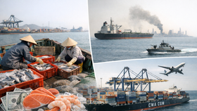 Eo biển Hormuz căng thẳng: 401 triệu USD xuất khẩu thủy sản Việt Nam vào vùng thử thách