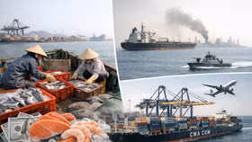 Eo biển Hormuz căng thẳng: 401 triệu USD xuất khẩu thủy sản Việt Nam vào vùng thử thách