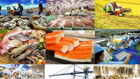 Mỹ xem xét thuế suất 0% với Việt Nam, những mặt hàng chủ lực nào có tiềm năng được hưởng ưu đãi?