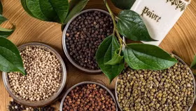 Hồ tiêu trong nước giảm giá mạnh