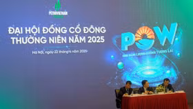 PV Power đặt kế hoạch lợi nhuận 2025 “đi lùi”, chịu gánh nặng 2 năm lỗ lũy kế của nhà máy điện Nhơn Trạch 3 và 4 