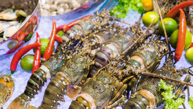 Tôm hùm xanh Việt Nam “đắc lợi” giữa cơn khát hải sản cao cấp của Trung Quốc