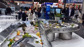 Xuất khẩu thủy sản sang Mỹ bị sụt giảm bởi thông tin về thuế quan