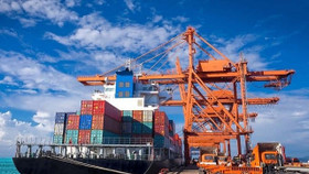 Bất chấp “bão thuế”, hàng Việt lập kỷ lục mới vào thị trường Mỹ