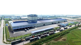 Công ty Cổ phần Phát triển Nông nghiệp Hòa Phát là pháp nhân chi phối và quản lý tất cả hoạt động sản xuất kinh doanh trong lĩnh vực nông nghiệp của Tập đoàn Hòa Phát