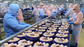 Xuất khẩu thủy sản Việt Nam sắp vượt 11 tỷ USD dù Mỹ siết chặt nhập khẩu