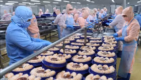 Xuất khẩu thủy sản Việt Nam sắp vượt 11 tỷ USD dù Mỹ siết chặt nhập khẩu