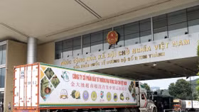  Hỗ trợ xuất mặt hàng tỷ đô của Việt Nam, Hải quan tăng tốc thông quan cả ngày nghỉ