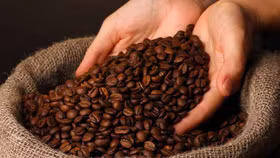 Giá nông sản hôm nay (19/6): Giá cà phê Robusta giảm kỷ lục do nguồn cung tăng mạnh