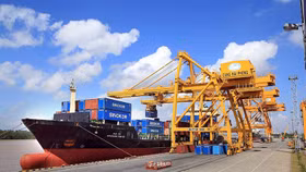 Sau 11 tháng, Việt Nam có 8 mặt hàng xuất khẩu trên 10 tỷ USD